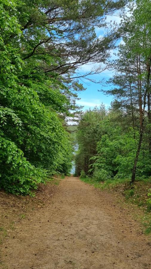 Ptasie Radio, Domek 48.2 Ostoja Bukowo Borowy Mlyn Exteriér fotografie