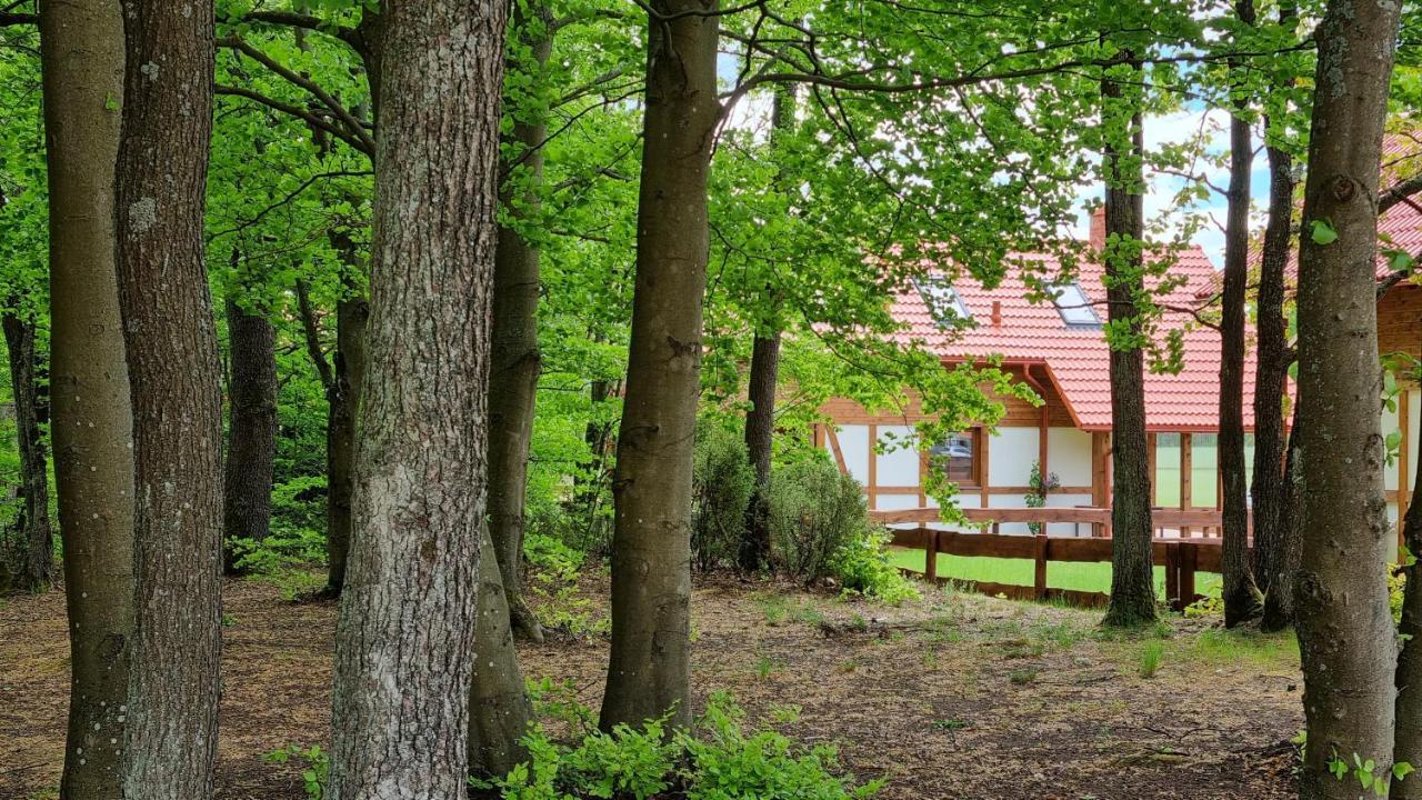 Ptasie Radio, Domek 48.2 Ostoja Bukowo Borowy Mlyn Exteriér fotografie