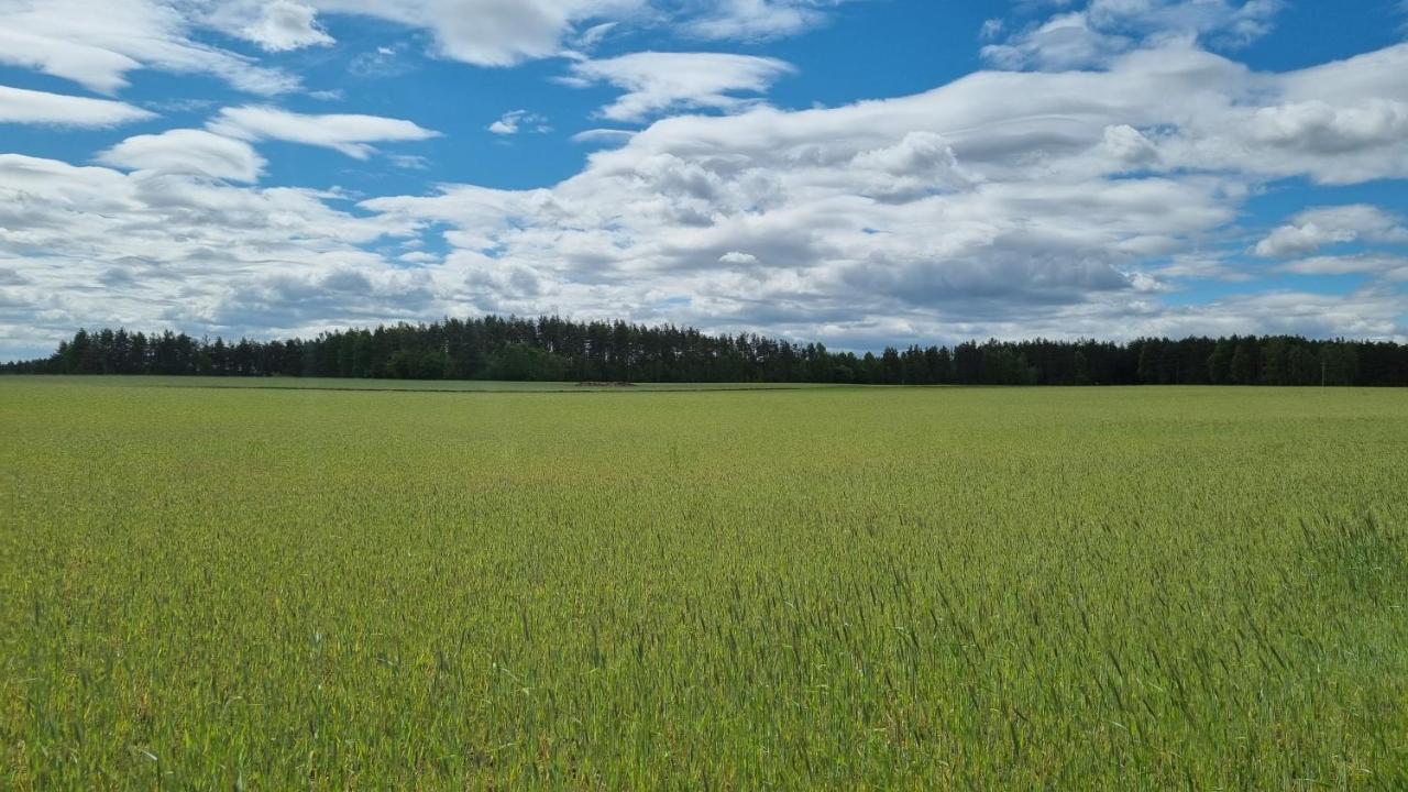 Ptasie Radio, Domek 48.2 Ostoja Bukowo Borowy Mlyn Exteriér fotografie