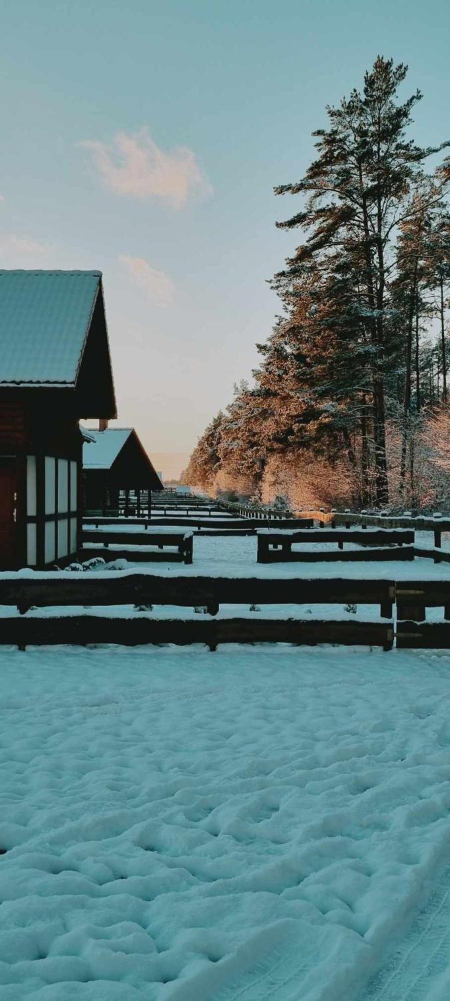 Ptasie Radio, Domek 48.2 Ostoja Bukowo Borowy Mlyn Exteriér fotografie