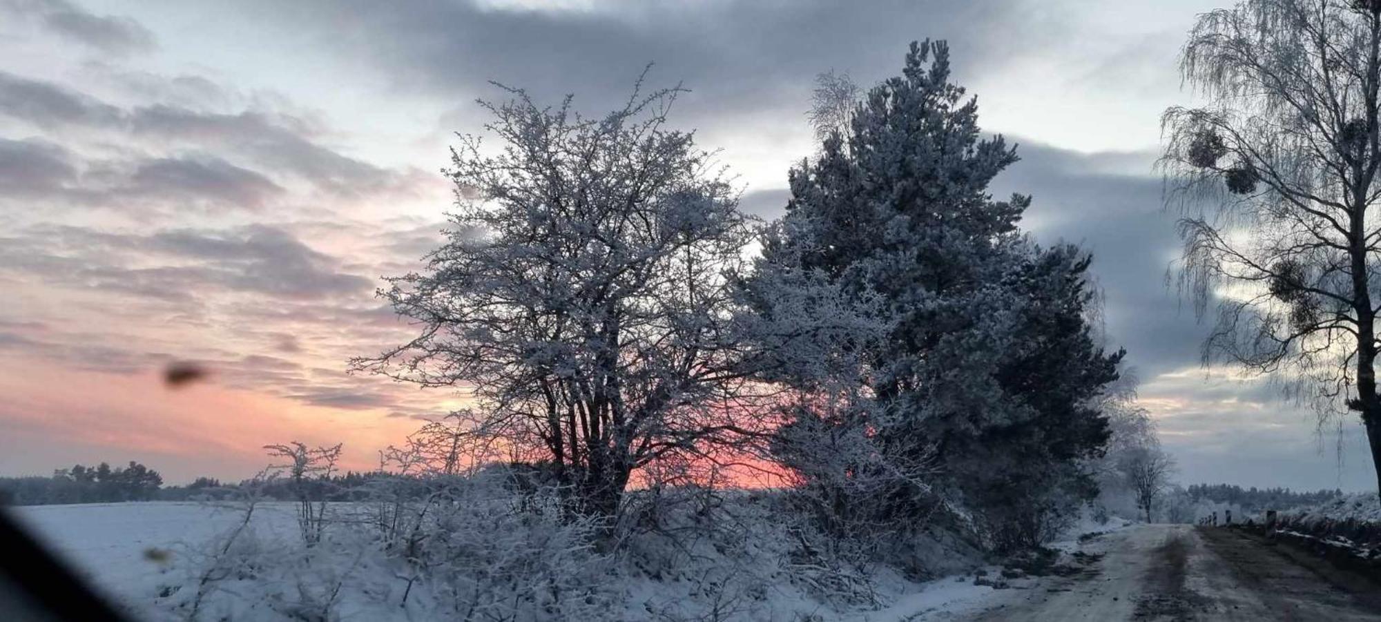 Ptasie Radio, Domek 48.2 Ostoja Bukowo Borowy Mlyn Exteriér fotografie
